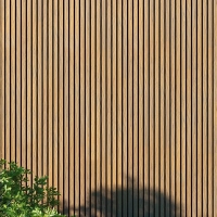 WPC fasadni panel, 219x2900mm, dve barvi, SVETLI HRAST & ČRNA (0.63 m²)