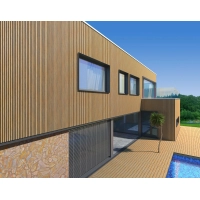 WPC fasadni panel, 219x2900mm, dve barvi, SVETLI HRAST & ČRNA (0.63 m²)